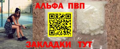стаф Кингисепп