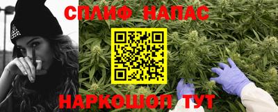 стаф Кингисепп