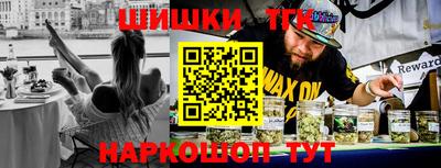 стаф Кингисепп