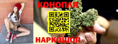 стаф Кингисепп