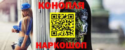 стаф Кингисепп