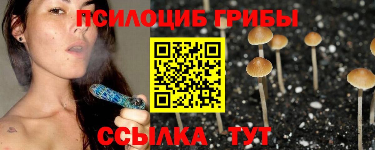 Псилоцибиновые грибы Psilocybine cubensis  Вход с VPN  Чайковский 
